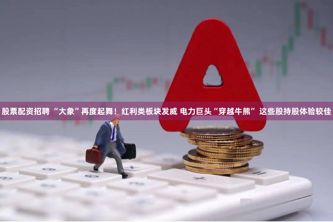 股票配资招聘 “大象”再度起舞！红利类板块发威 电力巨头“穿越牛熊” 这些股持股体验较佳
