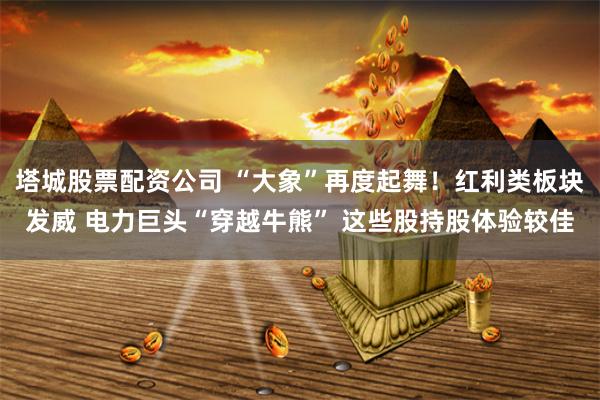 塔城股票配资公司 “大象”再度起舞！红利类板块发威 电力巨头“穿越牛熊” 这些股持股体验较佳